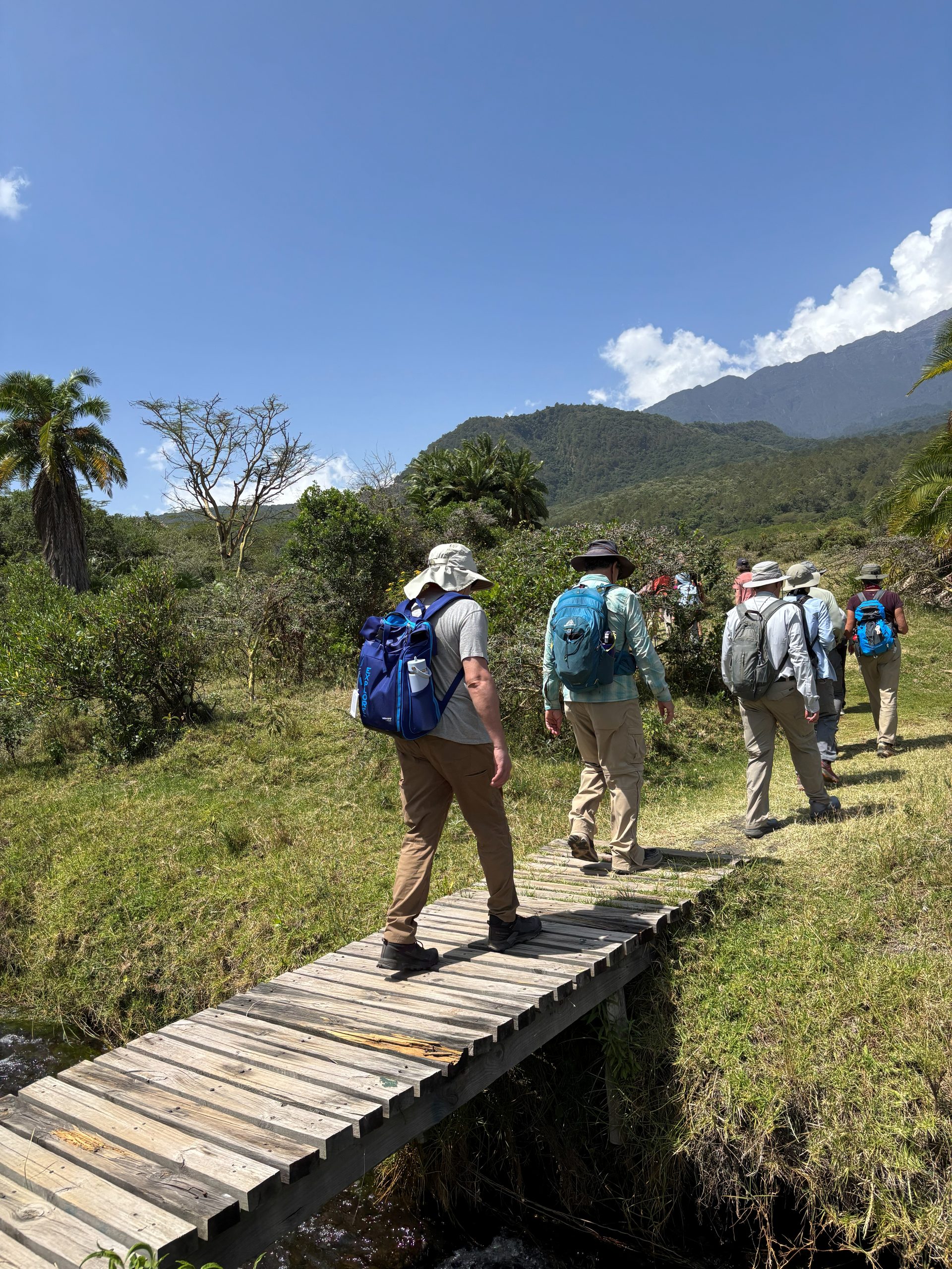Group crossing a wooden bridge in Arusha National Park